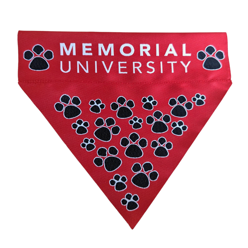 Hat 23 Pet Bandana