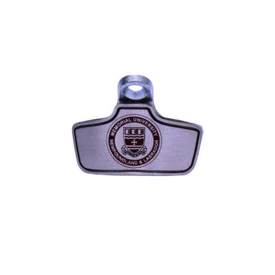 Bottle Opener 24 Bar